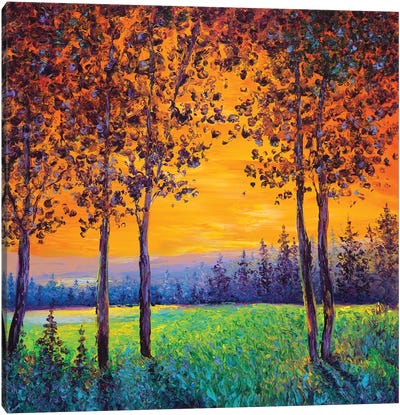 Sunset Canvas Art Print - Kimberly Adams