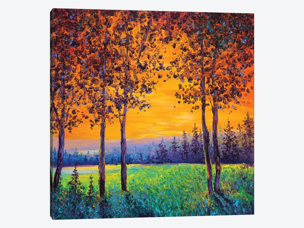 Sunset by Kimberly Adams 1-piece Canvas Art