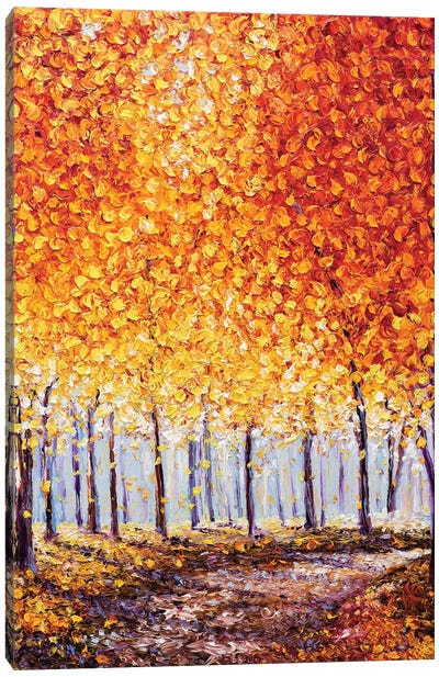 First Light Canvas Art Print - Colors of Fall