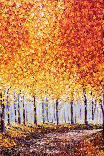 Trails, Paths & Roads: First Light by Kimberly Adams