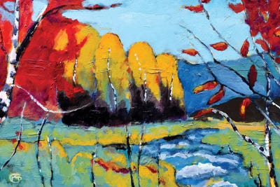 High Country by Kip Decker canvas print