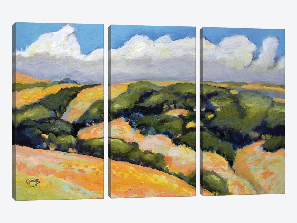 Clouds On Summer Hills by Kip Decker 3-piece Canvas Artwork