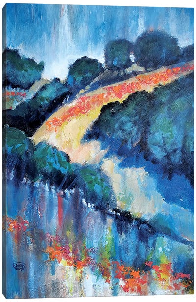Hillside Poppies Canvas Art Print - Kip Decker