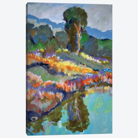 Country Pond Canvas Print #KIP12} by Kip Decker Art Print
