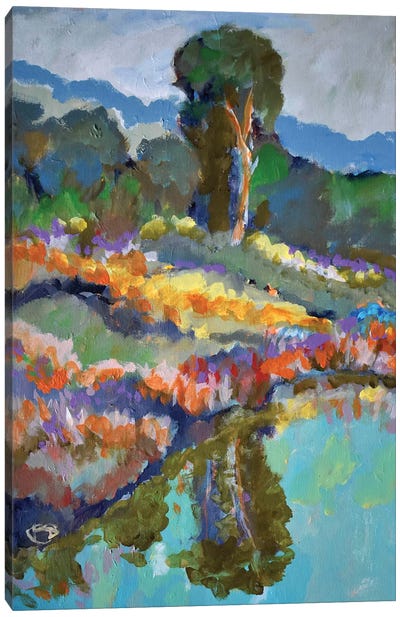 Country Pond Canvas Art Print - Kip Decker