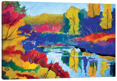 Upstate Pond Canvas Art Print - Pond Art