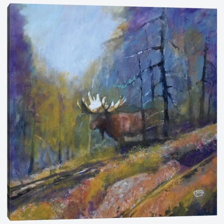 Bull Moose Canvas Print #KIP132} by Kip Decker Canvas Wall Art