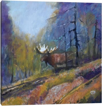 Bull Moose Canvas Art Print - Kip Decker