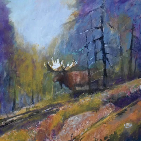 Moose: Bull Moose by Kip Decker