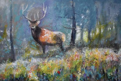 Edge Of Timber by Kip Decker canvas print