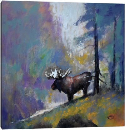Majesty Canvas Art Print - Moose Art