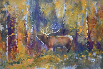 Nose In The Wind by Kip Decker art print