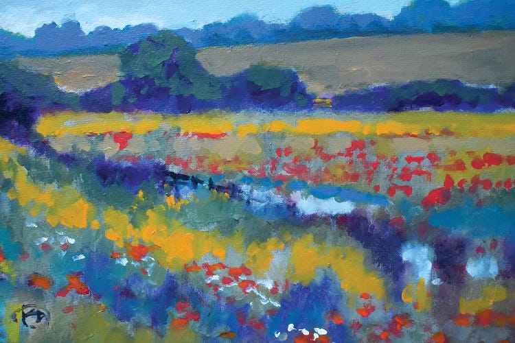 Field Poppies Near Pond