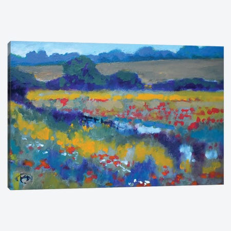 Field Poppies Near Pond Canvas Print #KIP149} by Kip Decker Canvas Print