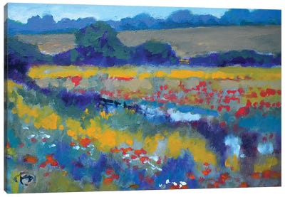Field Poppies Near Pond Canvas Art Print - Kip Decker