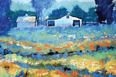 Near Half Moon Bay by Kip Decker art print