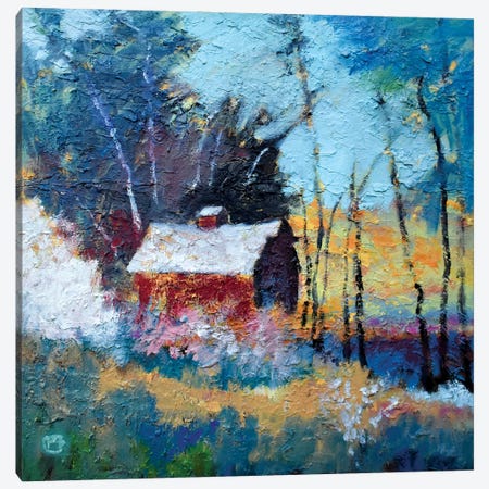 Barn In The Woods Canvas Print #KIP187} by Kip Decker Canvas Wall Art