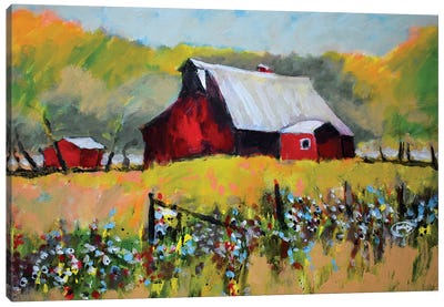 Farm Red Canvas Art Print - Kip Decker