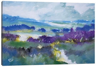Over The Land Canvas Art Print - Kip Decker