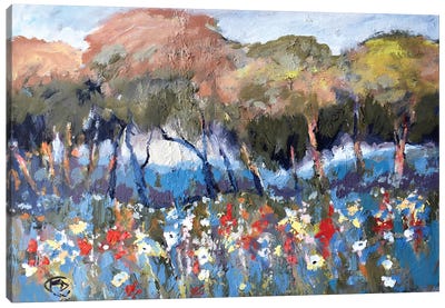 Hillcrest Flowers Canvas Art Print - Kip Decker