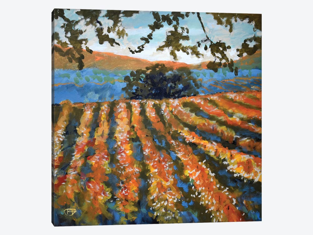Late Afternoon Vineyard by Kip Decker 1-piece Canvas Art Print