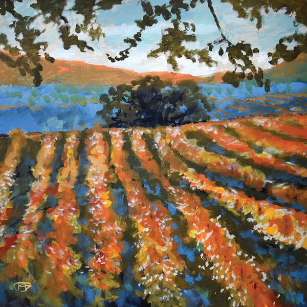 Wine: Late Afternoon Vineyard by Kip Decker