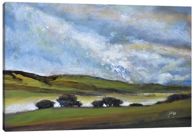 Light On Green Hills Canvas Art Print - Kip Decker