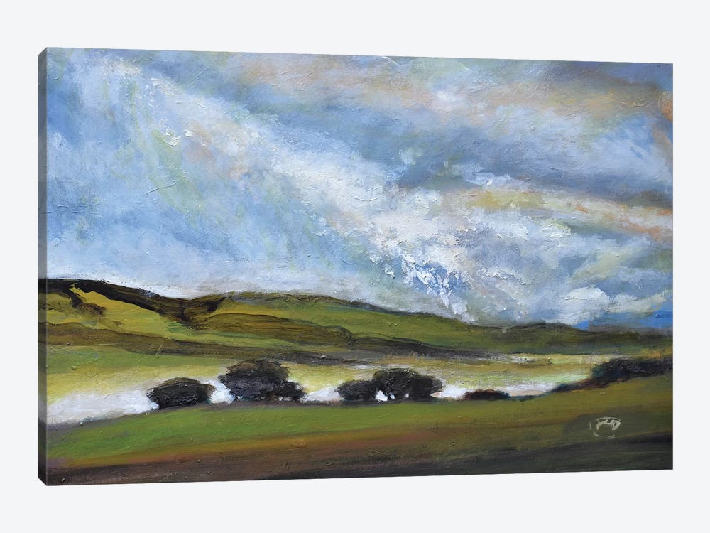 Light On Green Hills by Kip Decker 1-piece Canvas Art