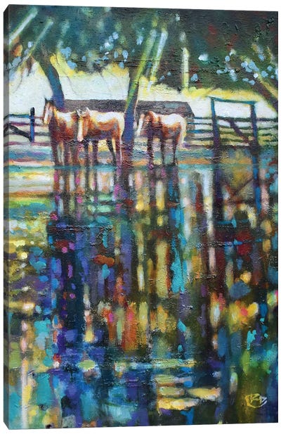 Rain Puddles Canvas Art Print - Kip Decker
