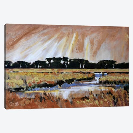 Light Over A Marsh Canvas Print #KIP23} by Kip Decker Canvas Art