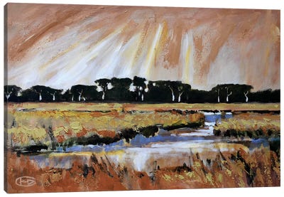 Light Over A Marsh Canvas Art Print - Kip Decker