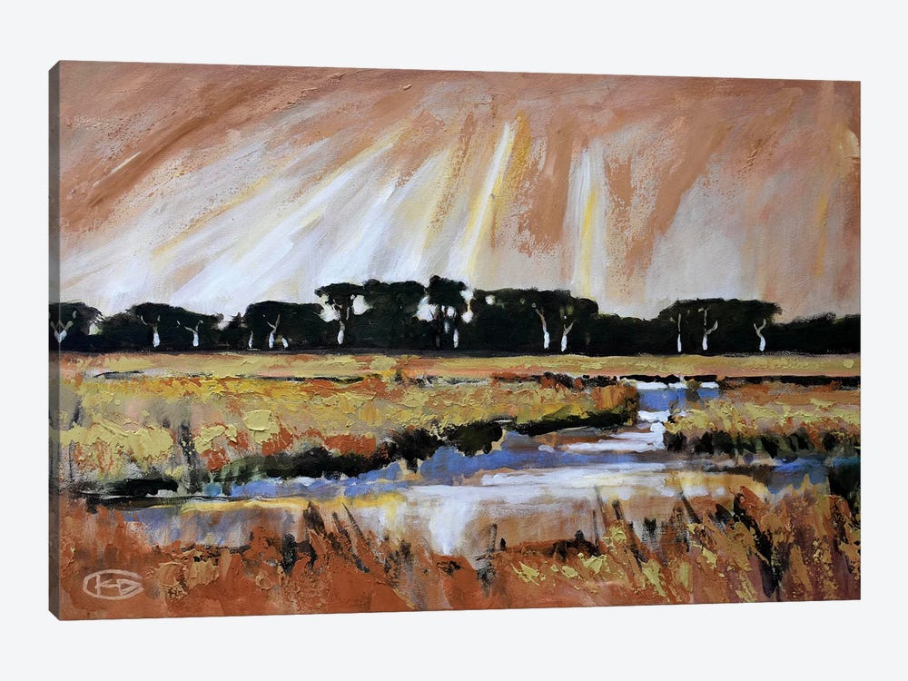 Light Over A Marsh by Kip Decker 1-piece Art Print