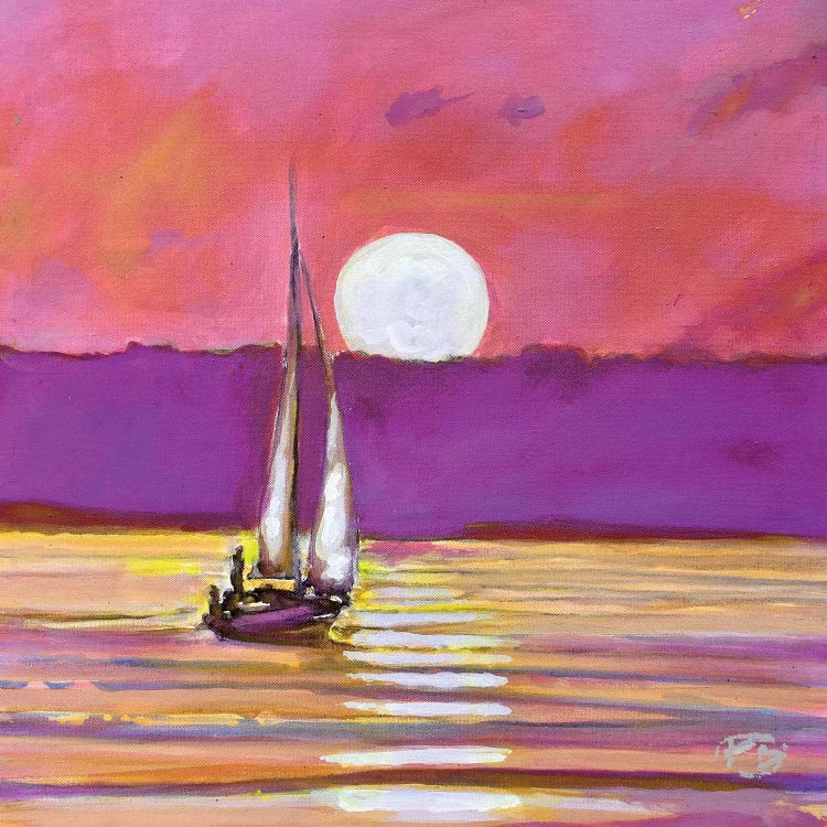 Moonlight Sailing