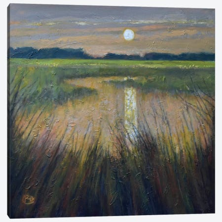 Moon Over The Marsh Canvas Print #KIP28} by Kip Decker Canvas Artwork