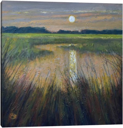 Moon Over The Marsh Canvas Art Print - Kip Decker
