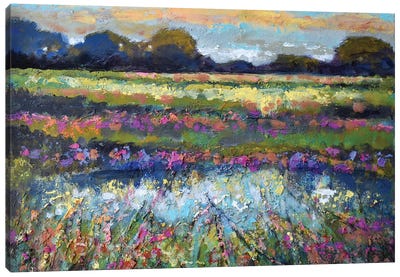 Pasture Sunrise Canvas Art Print - Kip Decker
