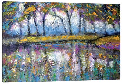 Pond Color Canvas Art Print - Kip Decker