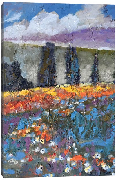 Poppies On A Hill Canvas Art Print - Kip Decker
