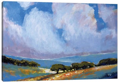 Spring Clouds Canvas Art Print - Kip Decker