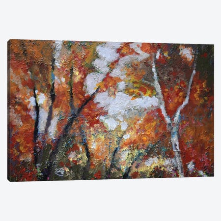 Autumn Majesty Canvas Print #KIP3} by Kip Decker Canvas Artwork