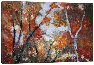 Autumn Majesty Canvas Art Print - Kip Decker