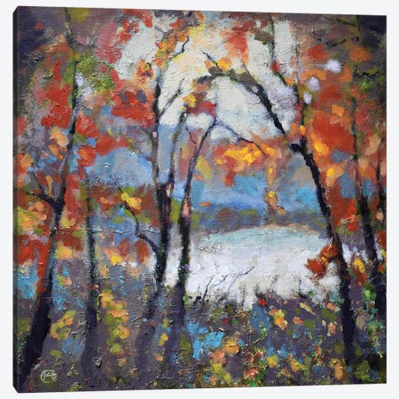 Through The Trees Canvas Print #KIP44} by Kip Decker Art Print