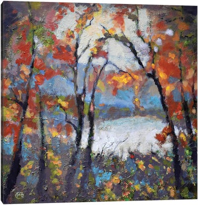 Through The Trees Canvas Art Print - Kip Decker