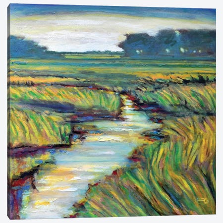 Tidal Creek Canvas Print #KIP45} by Kip Decker Canvas Print