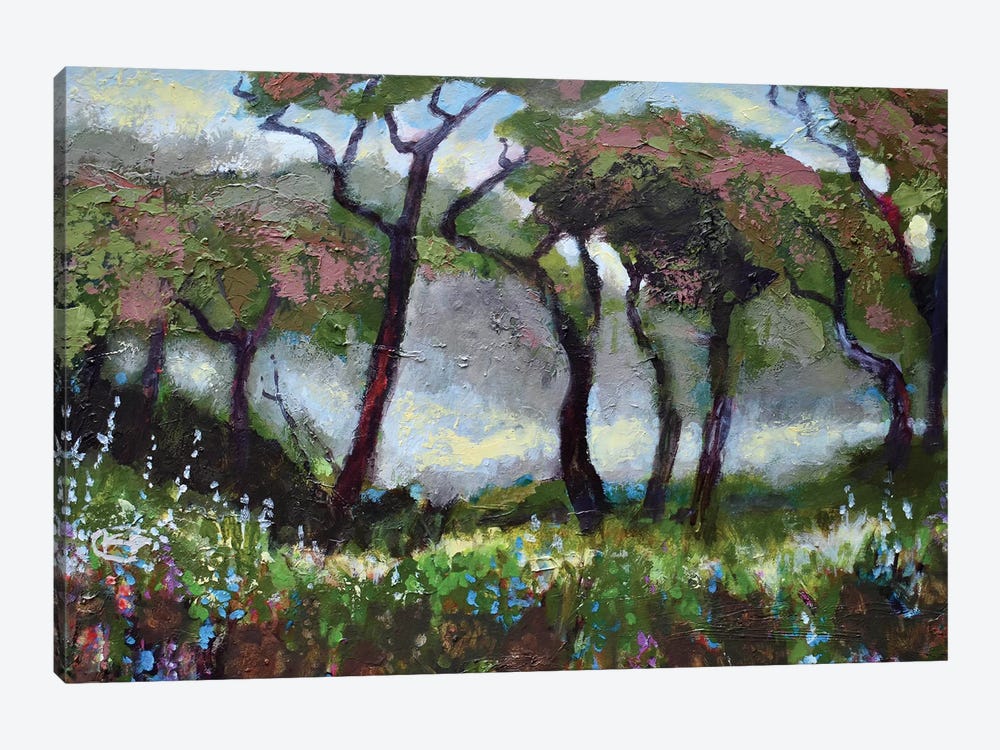 Woodland Light by Kip Decker 1-piece Canvas Print