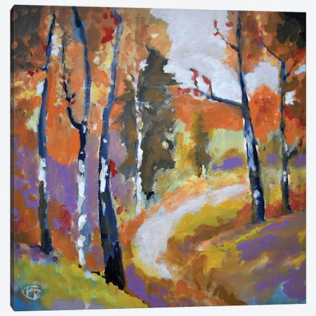 Autumn Trail Canvas Print #KIP4} by Kip Decker Art Print