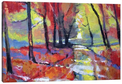 Autumn Road Canvas Art Print - Kip Decker
