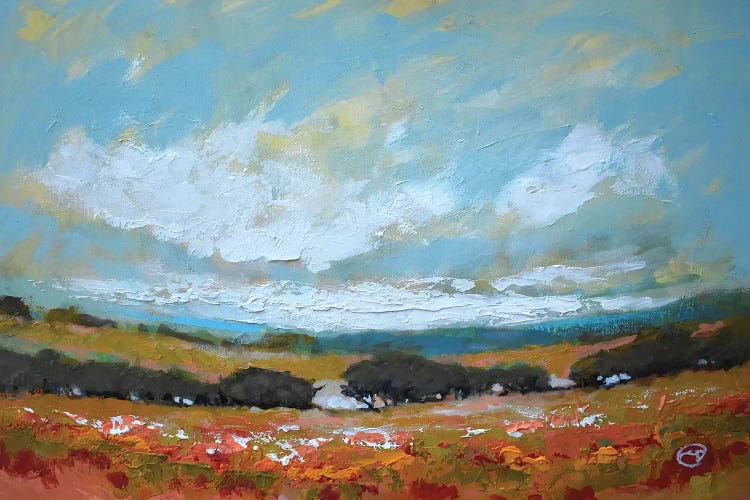 White Clouds Over Valley by Kip Decker wall art