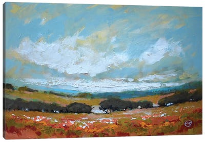 White Clouds Over Valley Canvas Art Print - Kip Decker