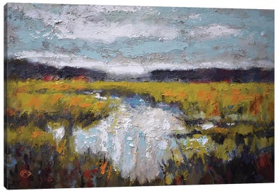 Clouds Over Marsh Canvas Art Print - Kip Decker